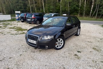 Audi A3 2.0 Tdi 170 Km Klimatronik 5 Drzwi Bose