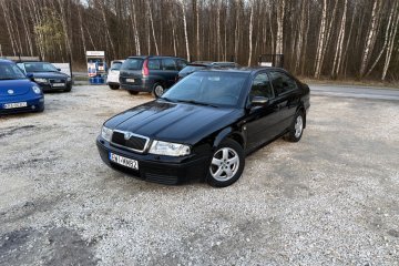 Skoda Octavia 1.9 Tdi 90 Km Klimatronik