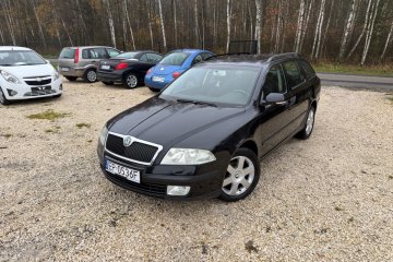 Skoda Octavia 1,9 Tdi 105 Km Klimatronik