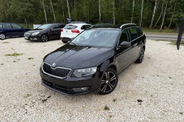 Skoda Octavia 1,4 Benz 110 Km Klimatronik Navi Ksenon Radar Ledy